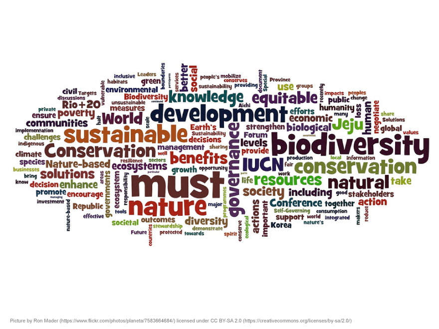 word cloud for biz development