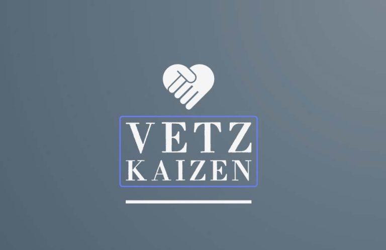 vetz kaizen